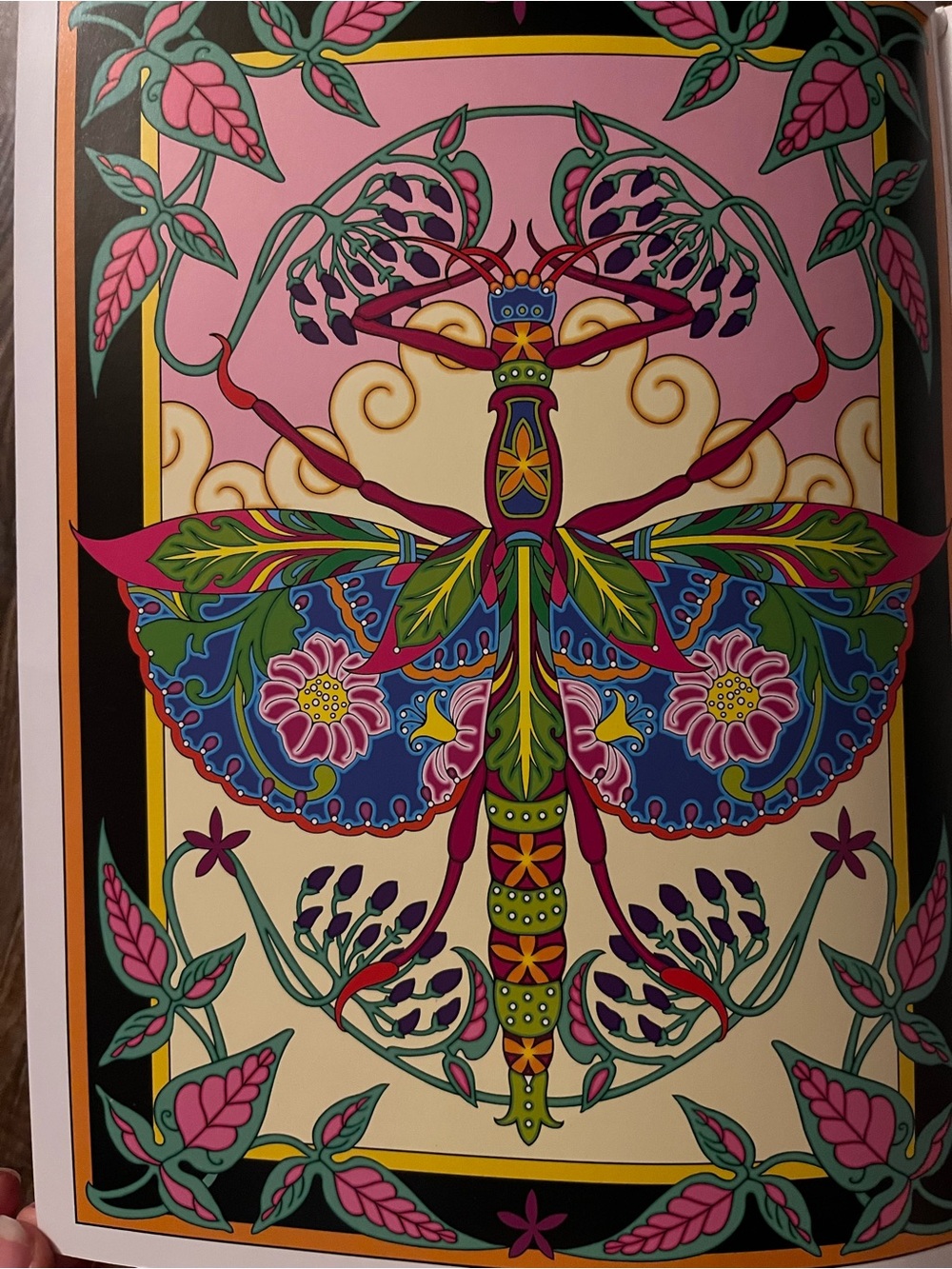 Incredible Insect Designs Coloring Book - Purple & Multicolor - Picture 2 of 10